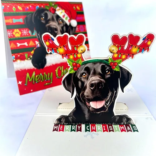 Miniatura 36 de Tarjeta de cumpleaños de perro Beagle 3D emergente – Felicitación de feliz cumpleaños para los amantes de los perros – Tarjeta desplegable
