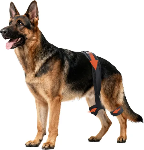 Miniatura 7 de Soporte de cadera para perro para displasia de cadera, soporte ajustable de cadera para perro con compresión específica, estabiliza