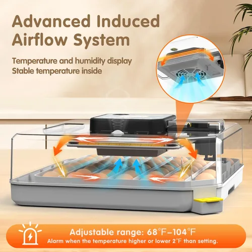 Miniatura 5 de Incubadoras para huevos para incubar huevos para granja de laboratorio con giro automático de huevos para pollo, patos, ganso, codorniz, 48 huevos