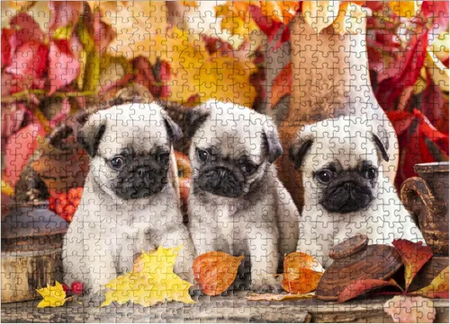 Miniatura 8 de MyPuzzle Pug Puppies - Rompecabezas prémium de 100 piezas, fabricado en Estados Unidos