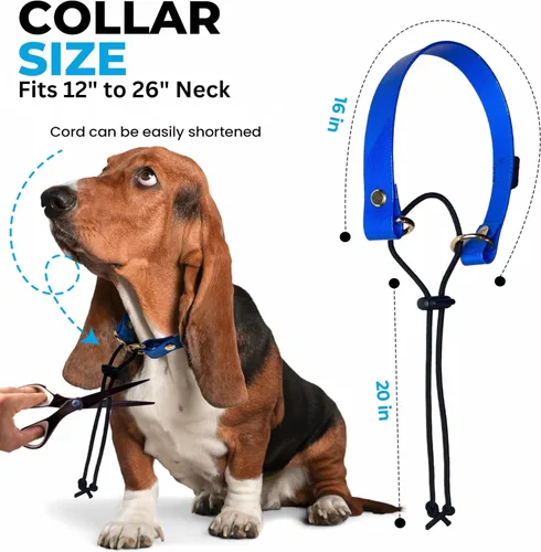 Miniatura 5 de eCollar Correa de repuesto estilo bungee – Collar de poliuretano impermeable compatible con Garmin, Dogtra, SportDOG, Educator