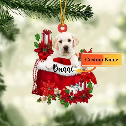 Miniatura 44 de Perro Akita Inu personalizado en bolsa de regalo, adorno de Navidad, nombre personalizado, regalo para amantes de los perros, familia, Navidad
