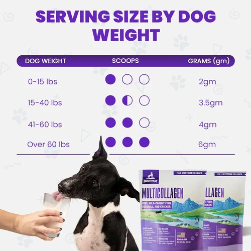 Miniatura 8 de Péptido multicolágeno colágeno líquido diario para perros, colágeno de perro, membrana en polvo de cáscara de huevo para perros - artritis, salud