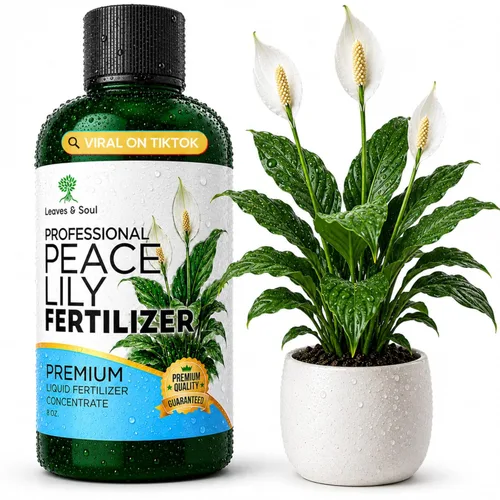 Fertilizante líquido profesional para plantas de lirio de la paz | 3-1-2 concentrado para plantas y flores | Mezcla multiusos y suministros de