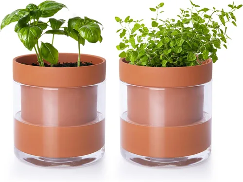 Miniatura 30 de Maceta Phoenix Vine de 6 Pulgadas con Riego Automático, Maceta de Arcilla Terracota con Reservario de Vidrio para Plantas de Interior, Hierbas