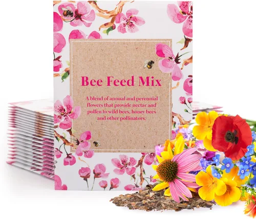 Bentley Seed Flower Mix - Mezcla de semillas de polinizador con 5 paquetes de semillas de flores silvestres, semillas polinizadoras sin OMG,