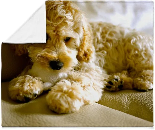 Miniatura 4 de CafePress The Cockapoo - Manta de felpa de forro polar súper suave, 60 x 50 pulgadas