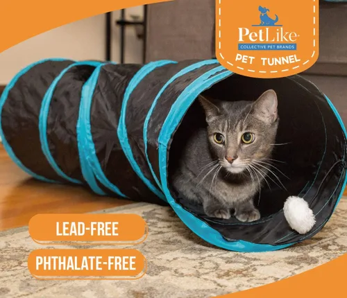 Miniatura 7 de PetLike Túnel para gatos (con juguete interactivo para gatos y juguete de hierba gatera) para gatos de interior, tubo plegable para mascotas, gris