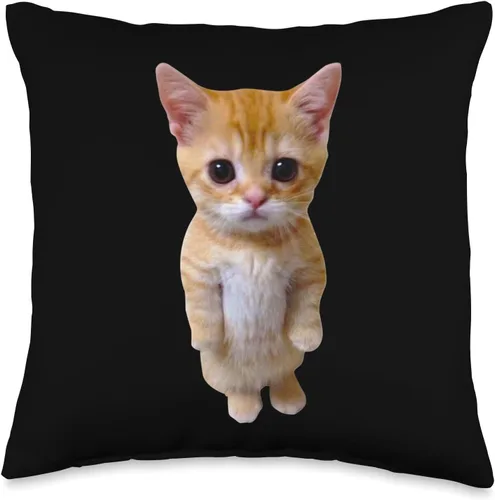 El Gato Meme Sad Crying Cat Munchkin Kitty Meme Almohada moderna, 16 x 16 pulgadas, multicolor