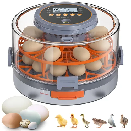 Incubadora de huevos para incubar 18 huevos con giro automático, sensor de humedad, 5 modos preestablecidos, tapa transparente para observación,