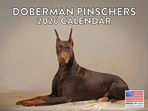 Miniatura 23 de Calendario de pared mensual 2025 Great Dane de 12 meses, fabricado en Estados Unidos