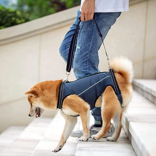 Miniatura 4 de Arnés de elevación para perros, soporte de cuerpo completo y recuperación para mascotas, correas ajustables con asa para viejos, lesiones