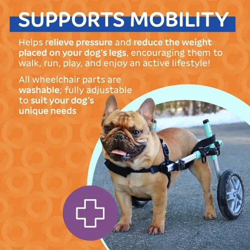 Miniatura 5 de Walkin' Wheels Silla de ruedas para perros pequeños, silla de ruedas ligera para patas traseras, 15-25 libras, para altura de pierna de 12-15 Seafoam