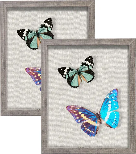 Miniatura 43 de Marco de caja de sombra pequeña de 5 x 5 con parte trasera de lino, resistente vitrina de memoria de flores, imágenes, medallas y más, color negro