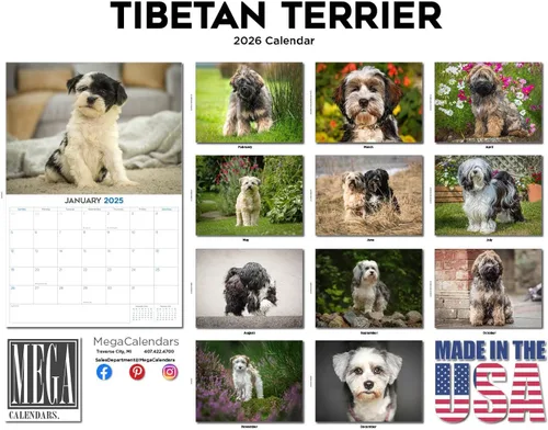 Miniatura 109 de Razas de Perros 2017 ESKIMO AMERICANO
