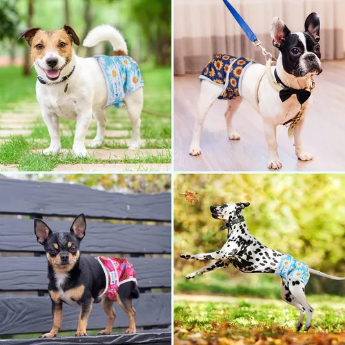 Miniatura 7 de Pet Soft Pañales para perras, paquete de 3 pañales lavables para perros en celo, reutilizables, bragas de período, pañales para cachorros hembra