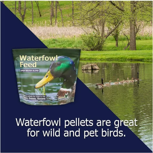 Miniatura 5 de Natural Waterscapes Alimento flotante para aves acuáticas (5 libras) para patos salvajes, patos de mascotas, gansos, cisnes