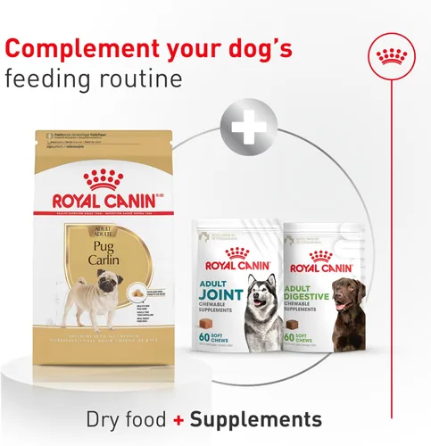 Miniatura 7 de Royal Canin Pug - Alimento seco específico para perros de raza adulta, bolsa de 10 libras