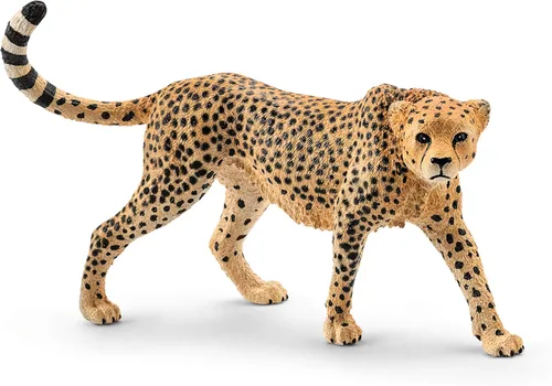 Schleich Wild Life, figura de animal, juguetes de animales para niños y niñas de 3 a 8 años, guepardo femenino, a partir de 3 años