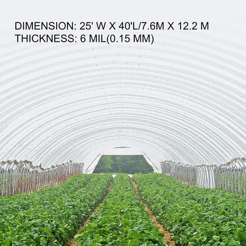 Miniatura 3 de Happybuy Película de invernadero de 25 x 40 pies, plástico transparente de polietileno de 6 mil de grosor, resistente a los rayos UV, resistencia