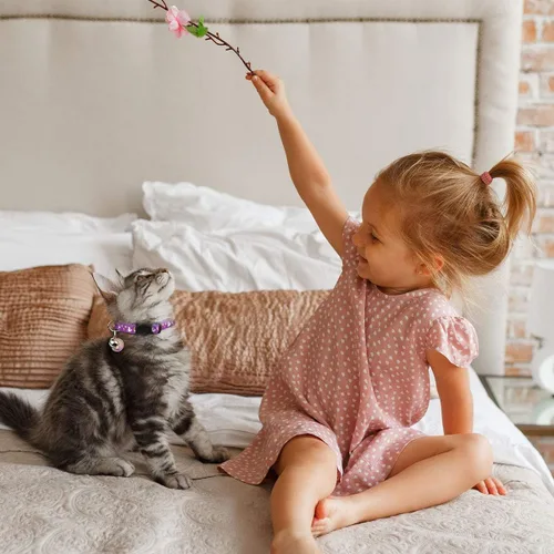 Miniatura 6 de Baeuppit 2 piezas de collares de gato separables con campana, lunas, estrellas, lindos collares ajustables para gatitos con colgante que brillan