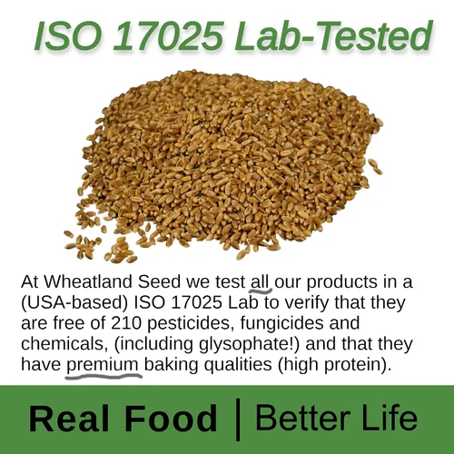 Miniatura 4 de WHEATLAND™ Bayas de trigo orgánico rojo duro • Cubo de 20 lb, sellado en Mylar • Almacenamiento de alimentos de emergencia • Cultivado por