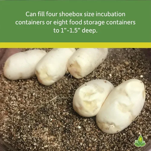 Miniatura 3 de Josh's Frogs Vermiculita para incubar huevos de reptiles, grillos de vivienda y semillas iniciales (10 cuartos de galón)