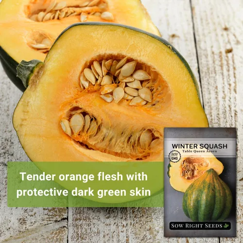 Miniatura 5 de Sow Right Seeds - Semillas de calabaza Queen de bellota para plantar - Paquete de reliquia sin OMG con instrucciones para plantar un huerto