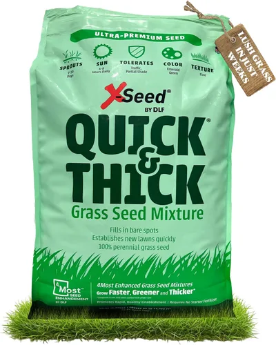 Miniatura 9 de Mezcla de semillas de césped X-Seed Ultra Premium, rápido y grueso, North
