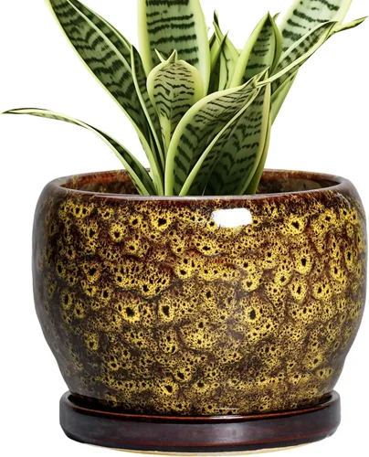 Miniatura 8 de SQOWL Macetas de cerámica – Maceta de 6 pulgadas con orificio de drenaje y bandeja, maceta redonda para plantas de interior, maceta decorativa