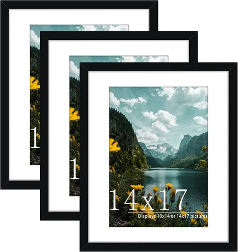 Miniatura 55 de Picrit Paquete de 3 portarretratos de 20 x 20 pulgadas, póster de 16 x 16 pulgadas con paspartú o de 20 x 20 pulgadas sin paspartú para montaje