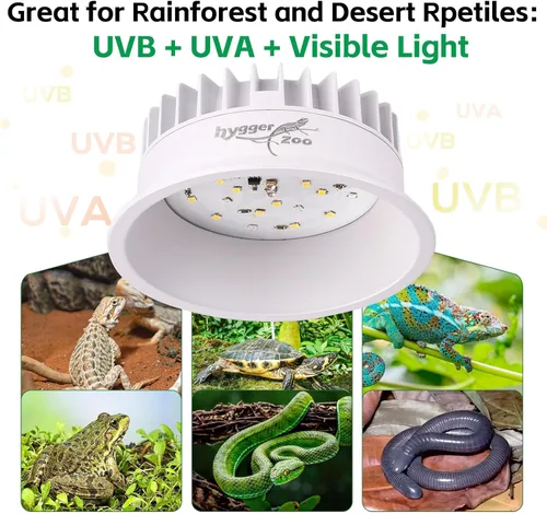 Miniatura 5 de Luz UVB para reptiles, accesorio de luz UVA UVB para reptiles con temporizador, bombilla LED UVB para dragón barbudo, gecko, tortuga, camaleón