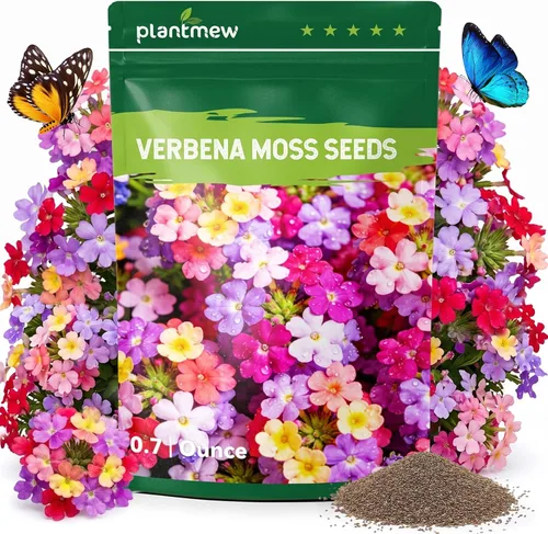 Miniatura 10 de Semillas de Alyssum para plantar, alfombra real morada, semillas de flores de Alyssum moradas dulces, semillas de cobertura del suelo perennes