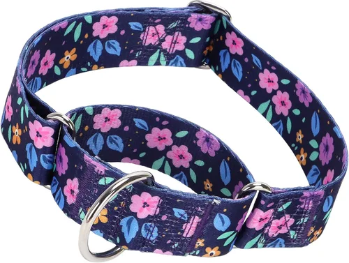 Miniatura 15 de Collar Martingale para Perro de 1.5 Pulgadas de Ancho - Diseño de Calavera Extra Resistente para Perros Grandes, Collar de Entrenamiento Ajustable