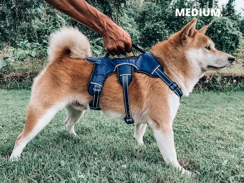 Miniatura 7 de Arnés para perros a prueba de escape sin escape de Tuff Pupper Arnés ajustable de 5 puntos para perros Arnés para perros acolchado Arnés