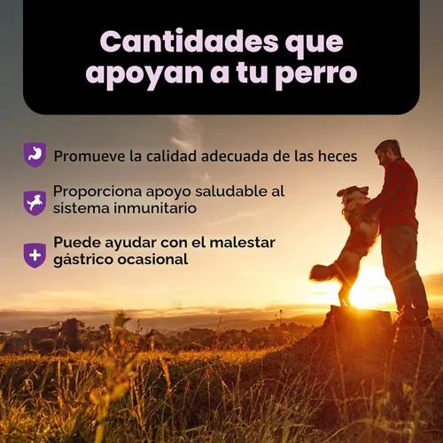 Miniatura 5 de Nutri-Vet Pre y probióticos para perros, apoyo digestivo, malestar estomacal, probiótico para cachorros, vitaminas y suplementos para mascotas