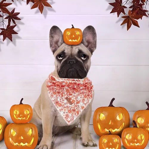 Miniatura 5 de Pañuelo de otoño para perro, 1 bufanda de Halloween para perro, bufandas para perros, bufanda para mascotas, pañuelo para mascotas, bufandas