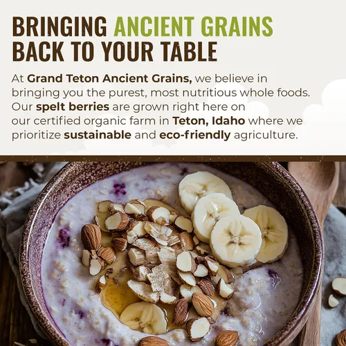 Miniatura 6 de Grand Teton Ancient Grains - Bayas de espelta 100% orgánicas, bayas enteras de espelta sin moler, grano orgánico Farro cultivado en Estados Unidos