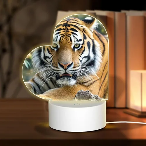 Miniatura 15 de 3D Night Light LED Light Lamp Base Personalized Gifts Acrylic Night Light Color Fusion Night Light Acrylic Plaque USB 3 Colors Change Smart Touch