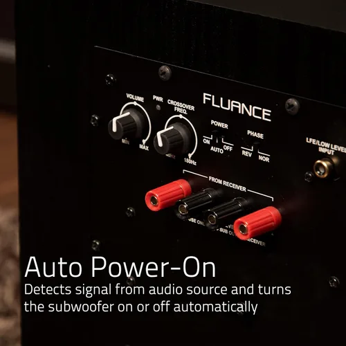 Miniatura 4 de Fluance DB10W Subwoofer con alimentación eléctrica de baja frecuencia de 10 pulgadas para cine en casa (Nogal natural)