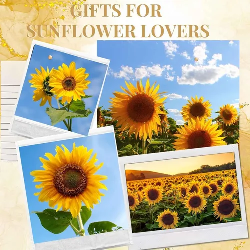Miniatura 7 de Onebttl Regalos de mariposa de girasol para los amantes del girasol, vasos aislados de acero inoxidable de 20 onzas con tapas y pajitas, regalo