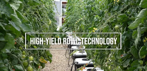 Miniatura 4 de Hydramax Home - Sistema hidropónico de cultivo de aguas profundas con bomba y circuladores de aire para cultivo en interiores de verduras, frutas