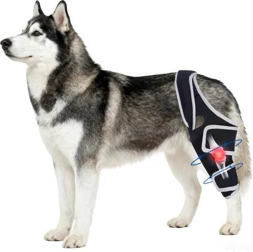 Soporte ajustable para patas traseras de perro para perros pequeños a grandes, rodillera de perro para pierna trasera desgarrada con estabilizador