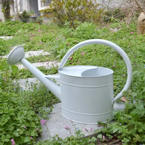 Miniatura 17 de Recipiente para regar plantas de interior y exterior, galvanizada, estilo moderno con asa y rosetón zinc