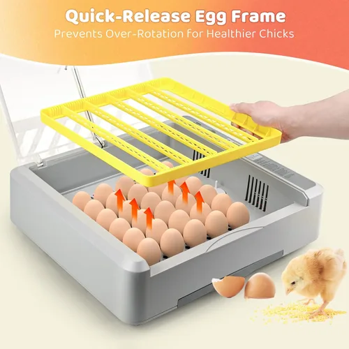 Miniatura 5 de Incubadora de 36 huevos para incubar pollitos con control automático de temperatura y humedad, vista panorámica multifuncional ultra clara con días