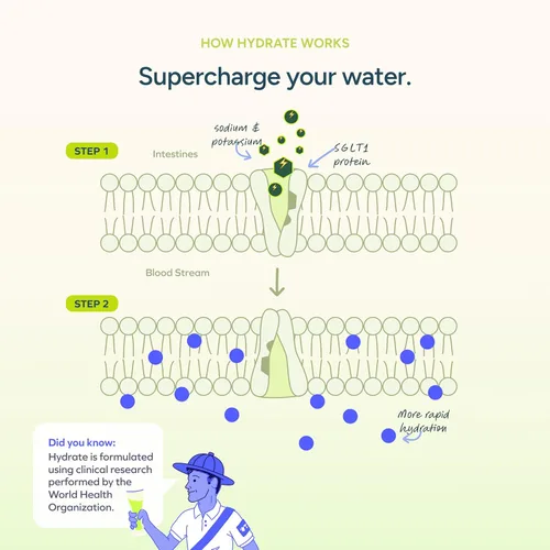 Miniatura 3 de Cheers Hydrate Solución de rehidratación oral Electrolitos para una hidratación rápida Sabor a lima limón 12 porciones Suplemento