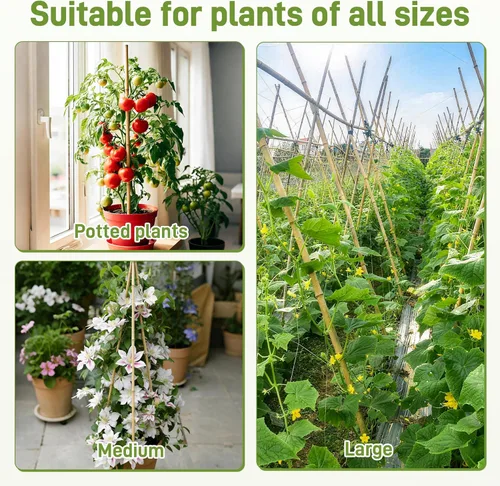 Miniatura 5 de Estacas de jardín de 0,32"-0,4"/ 4 pies, varillas de bambú natural para plantas de interior y exterior, postes para tomates, frijoles, plantas