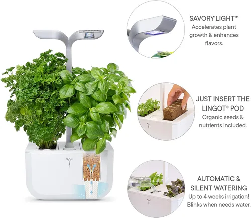 Miniatura 4 de Jardín interior inteligente de Véritable® - Exky Smart Arctic White - 2 lingots® incluidos