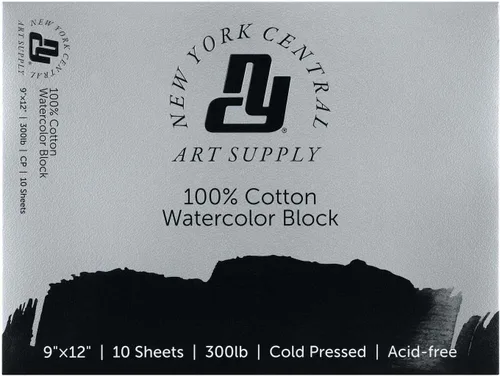 New York Central Bloque de acuarela, prensa fría de 300 libras/22.58 oz/m², 9 x 12 pulgadas, 10 hojas en total, papel de acuarela archivado para