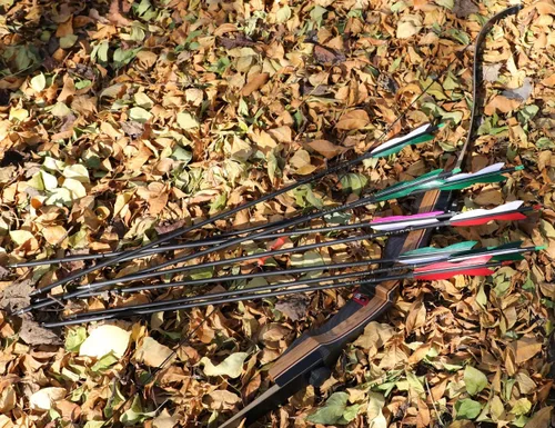 Miniatura 6 de LWANO Flechas de caza de carbono de 31 pulgadas, flechas de práctica con plumas de pavo de 5 pulgadas, 500 para arco recurvo y arco compuesto 7.8MM